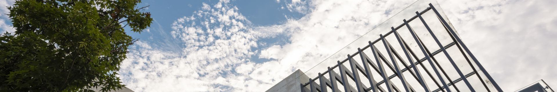 20200725photo-6c