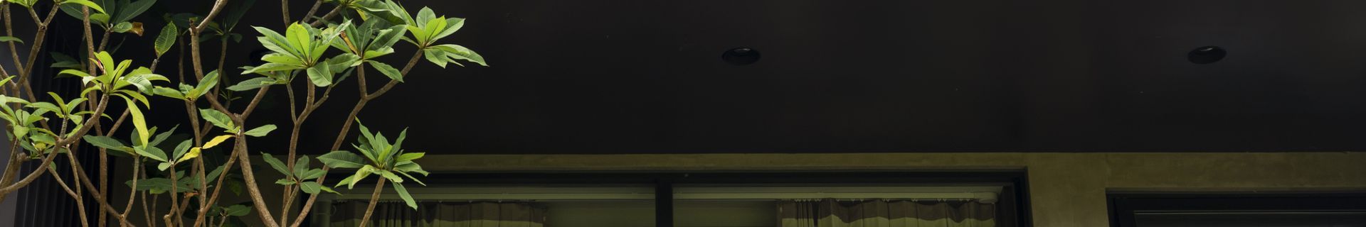 20200725photo2-16c