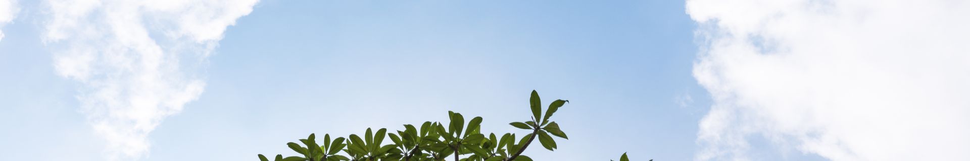 20200725photo2-23c2
