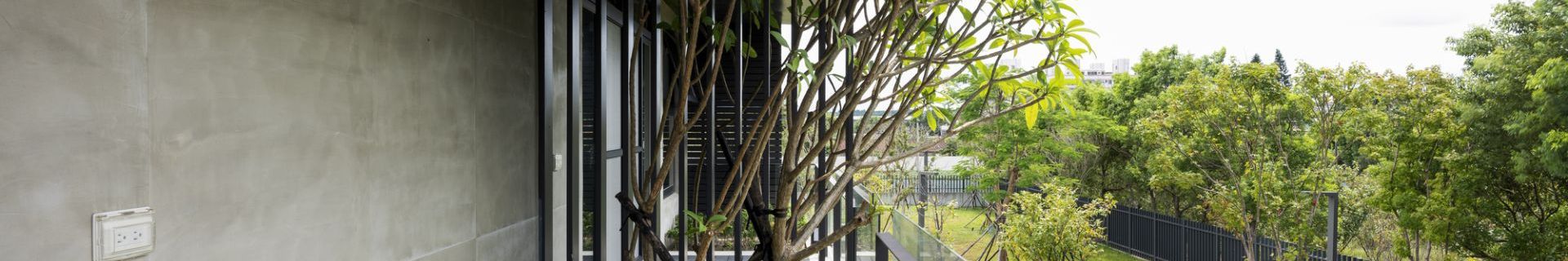 20200725photo2-71c