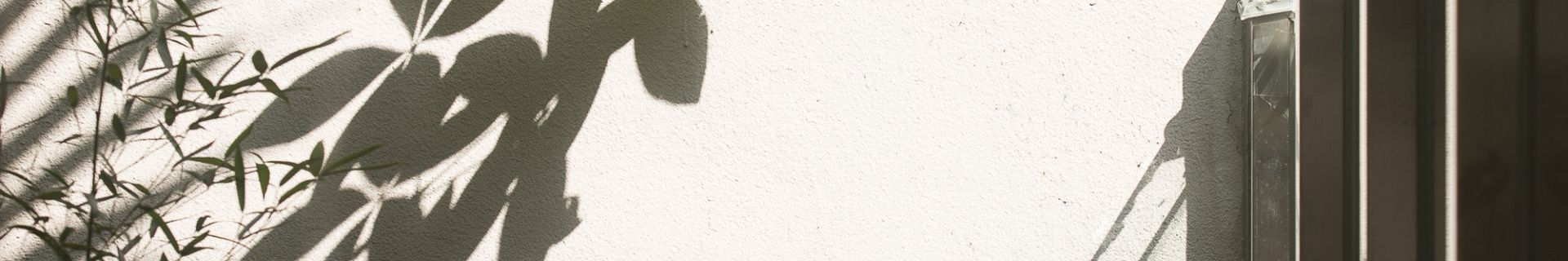 ALL_catalog_work_26C24_QrT1GCKDtX