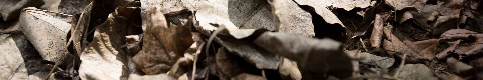 ALL_catalog_work_26C24_zVDVbE0QgM