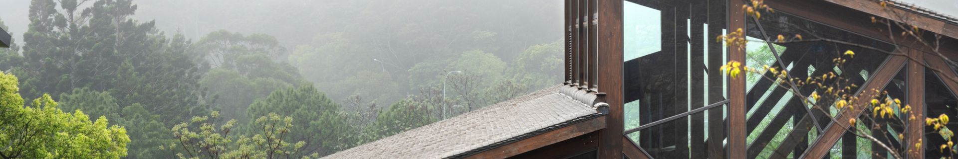 DSCF2196