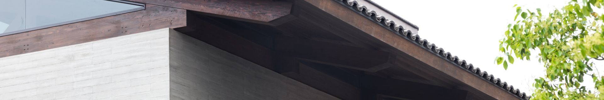 DSCF2239