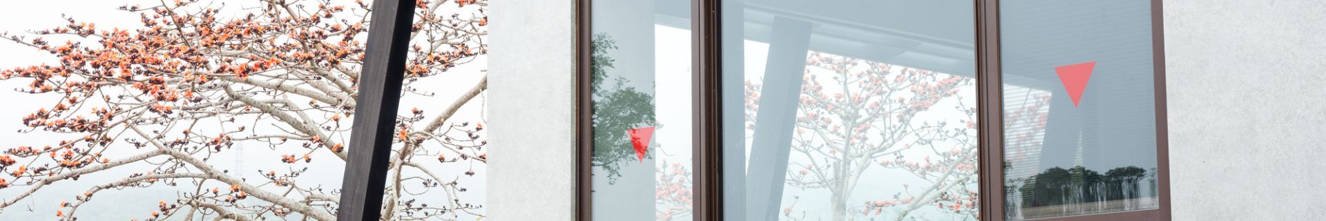 DSCF2484