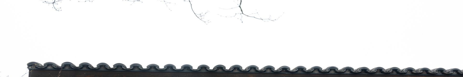 DSCF2490