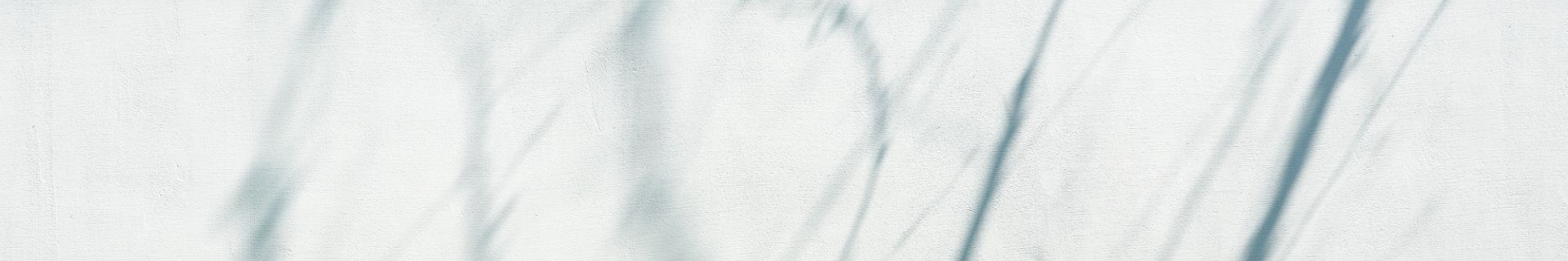 DSCF4006