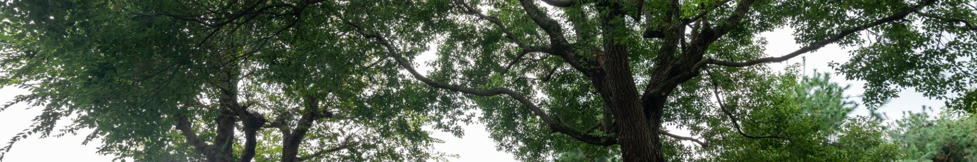 DSCF5569