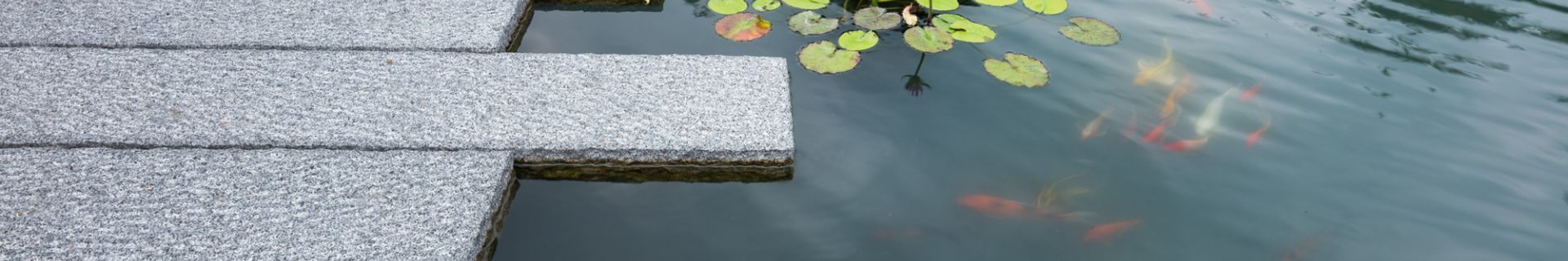 DSCF5580