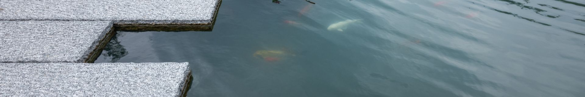 DSCF5588