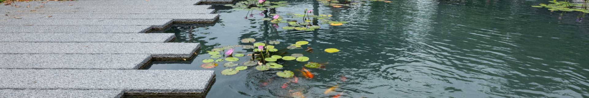 DSCF5614