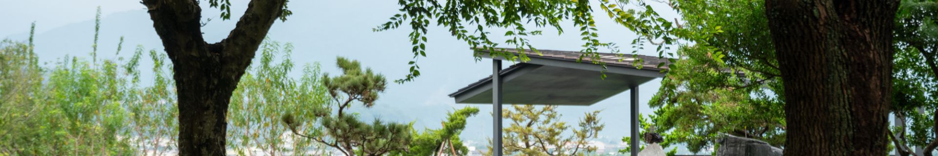 DSCF5720